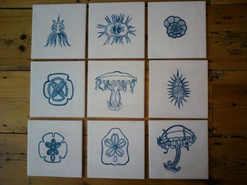 First batch of fired tiles